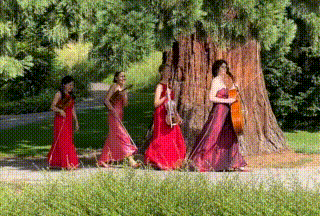 A la Q'Art, Streichquartett - Video