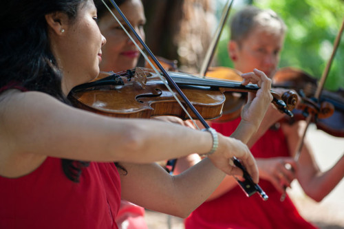 A la Q'Art, Streichquartett - Klassik - Das Repertoire von A la Q’Art umfasst das ganze Spektrum der Streichquartettmusik – von den Werken der frühen Meister bis hin zum Oeuvre zeitgenössischer Komponisten.
