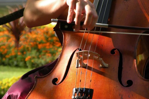 A la Q'Art, Streichquartett - Angebot