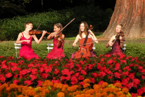 A la Q'Art, Streichquartett - Angebot