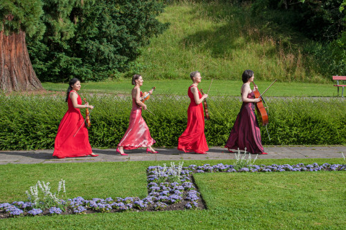 A la Q'Art, Streichquartett - Angebot