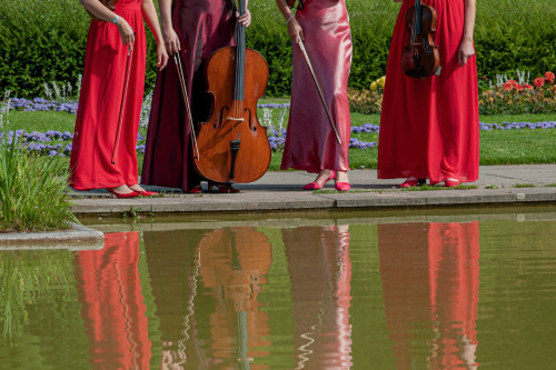 A la Q'Art, Streichquartett - Angebot
