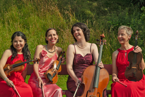 A la Q'Art, Streichquartett - Aus aller Welt - Zigeuner- und Klezmerklänge, Jazz, unterhaltsame Arrangements von Schlagern und Evergreens: Sie werden überrascht sein, wie vielfarbig das Klangbild der vier Streichinstrumente von A la Q’Art ist!