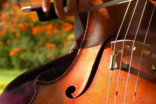 A la Q'Art, Streichquartett - Salonmusik - Beschwingte Stücke mit einem Hauch von Nostalgie und einer unvergleichlichen Kaffehaus-Atmosphäre: Das ist Salonmusik von A la Q’Art!